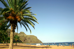 31-tenerife